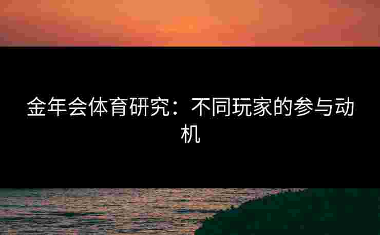 金年会体育研究：不同玩家的参与动机
