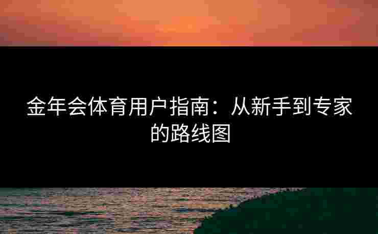 金年会体育用户指南：从新手到专家的路线图